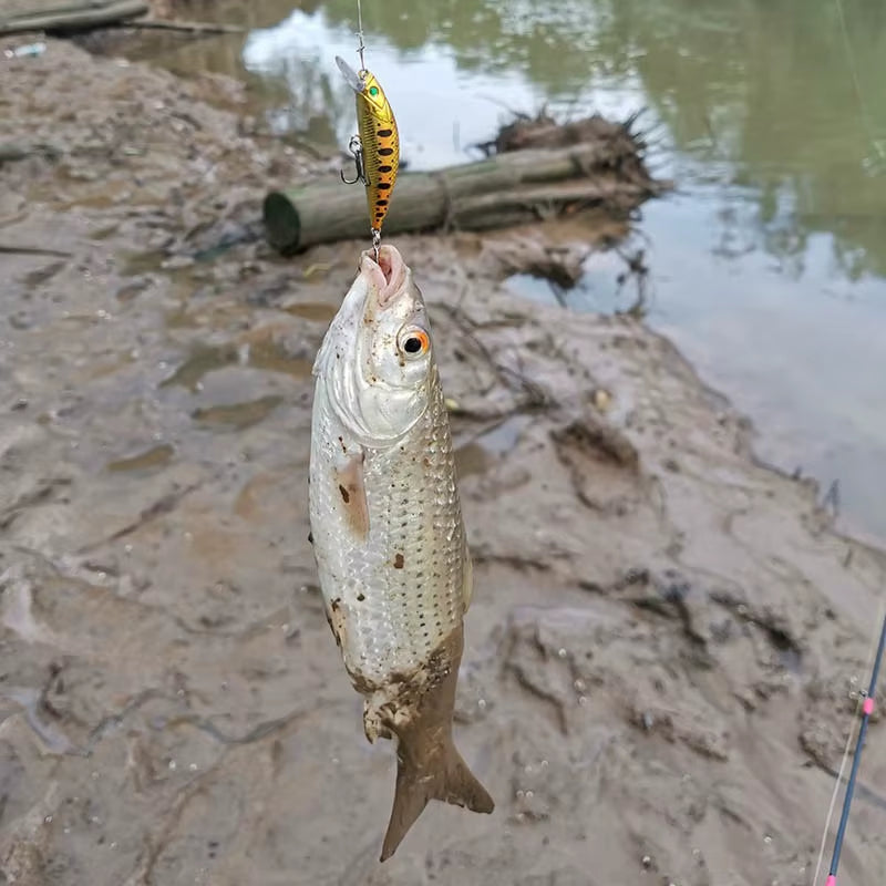 5Pcs Fishing Lures Kit Sinking Minnow Trout Artificial Bait Crank Bait Bass Fishing Tackle